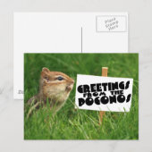 Groeten uit de Poconos. Chipmunk met gebarentaal Briefkaart (Voorkant / Achterkant)