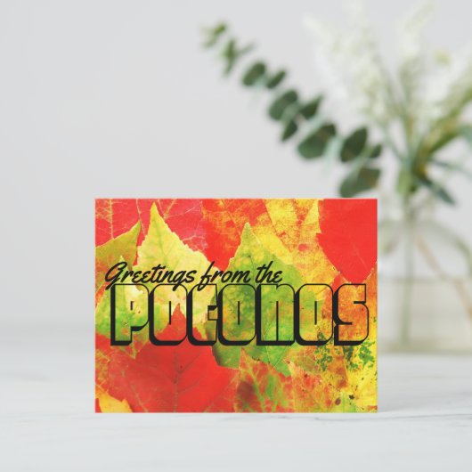 Groeten uit de Poconos Colorful Leaves Briefkaart (Staand voorkant)