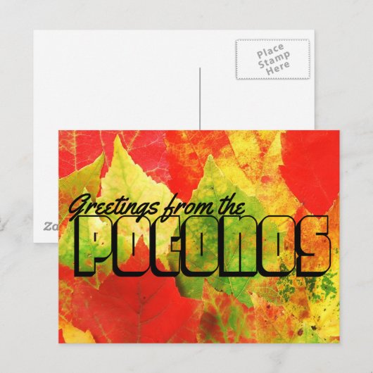 Groeten uit de Poconos Colorful Leaves Briefkaart (Voorkant / Achterkant)