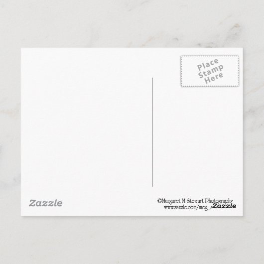 Groeten uit de Poconos Colorful Leaves Briefkaart (Achterkant)