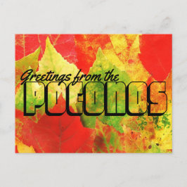 Groeten uit de Poconos Colorful Leaves Briefkaart