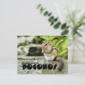 Groeten uit de Poconos Mischievous Chipmunk Briefkaart (Staand voorkant)
