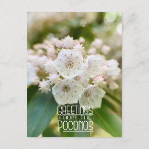 Groeten uit de Poconos Mountain Laurel Briefkaart