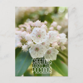 Groeten uit de Poconos Mountain Laurel Briefkaart