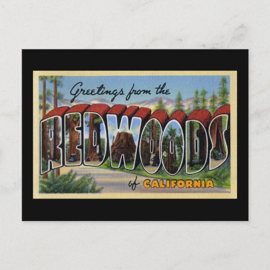 Groeten uit de sequoia's van Californië Briefkaart (Voorkant)