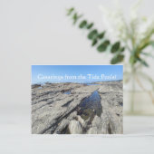 Groeten uit de Tide Pools! Briefkaart (Staand voorkant)