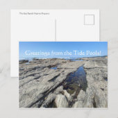 Groeten uit de Tide Pools! Briefkaart (Voorkant / Achterkant)