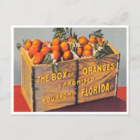 Groeten uit Florida Box Sinaasappels 