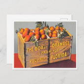 Groeten uit Florida Box Sinaasappels  Briefkaart (Voorkant / Achterkant)