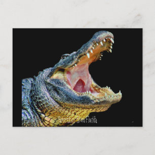 Groeten uit Florida Briefkaart