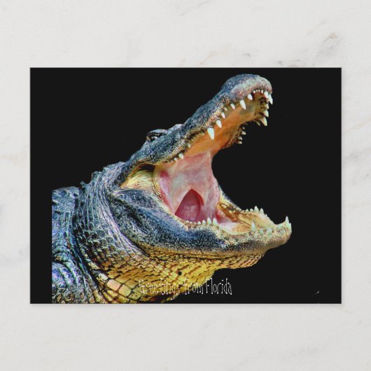 Groeten uit Florida Briefkaart (Voorkant)