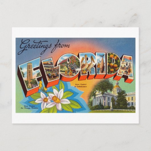 groeten uit Florida Briefkaart (Voorkant)
