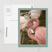 Groeten uit Florida Briefkaart (Voorkant / Achterkant)