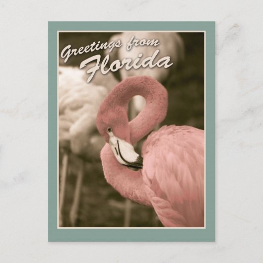 Groeten uit Florida Briefkaart (Voorkant)