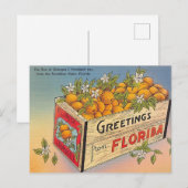 Groeten uit Florida! Briefkaart (Voorkant / Achterkant)