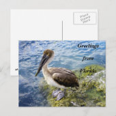 Groeten uit Florida Briefkaart (Voorkant / Achterkant)