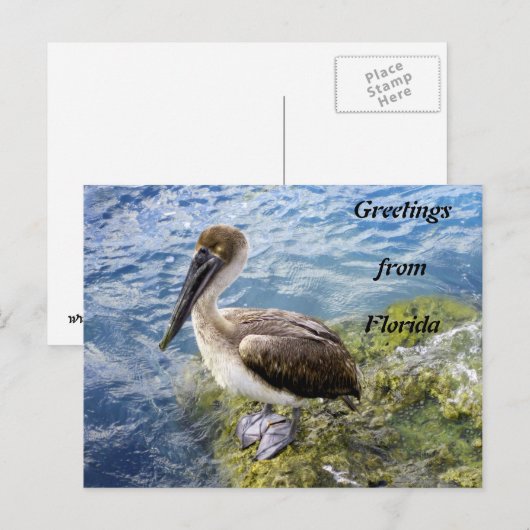 Groeten uit Florida Briefkaart (Voorkant / Achterkant)