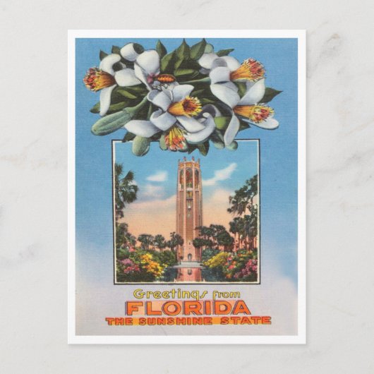 Groeten uit Florida, de Sunshine State Travel Briefkaart (Voorkant)