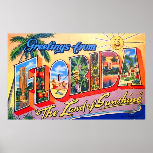 Groeten uit Florida, het land van de zonneschijn Poster (Voorkant)