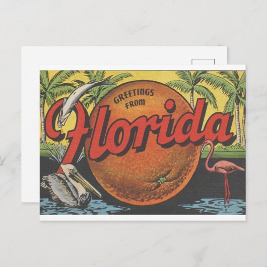  groeten uit Florida met sinaasappel Briefkaart (Voorkant / Achterkant)