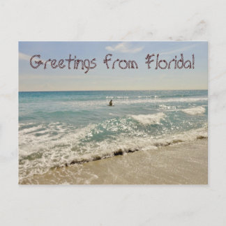 Groeten uit Florida Miami Briefkaart