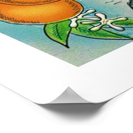 Groeten uit Florida Poster Print (Hoek)