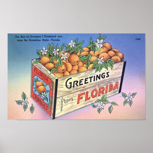 groeten uit Florida Sinaasappels Reis Poster (Voorkant)