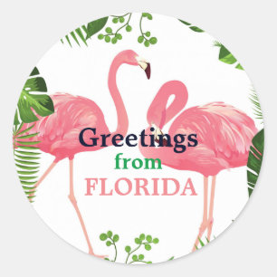 Groeten uit Florida, tropisch ontwerp Ronde Sticker