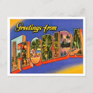 Groeten uit Florida Vintage Travel Briefkaart