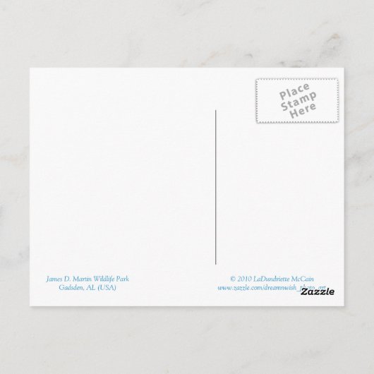 Groeten uit Gadsden, AL Briefkaart (Achterkant)