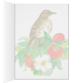 Groeten uit Georgia Brown Thrasher Blank (Binnen (Rechts))