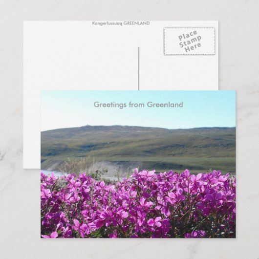 Groeten uit Groenland 10 Briefkaart (Voorkant / Achterkant)