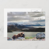 Groeten uit Groenland 13 Briefkaart (Voorkant / Achterkant)