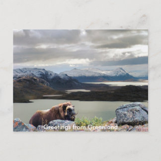 Groeten uit Groenland 13 Briefkaart