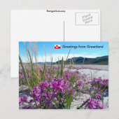 Groeten uit Groenland 5 Briefkaart (Voorkant / Achterkant)