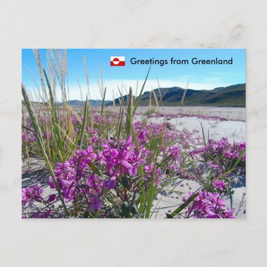 Groeten uit Groenland 5 Briefkaart (Voorkant)