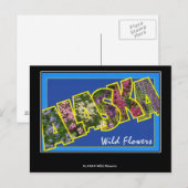 Groeten uit het Alaska  Briefkaart (Voorkant / Achterkant)