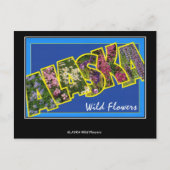 Groeten uit het Alaska Briefkaart (Voorkant)