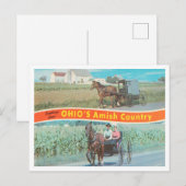 Groeten uit het Amish-land van Ohio, Ohio Briefkaart (Voorkant / Achterkant)