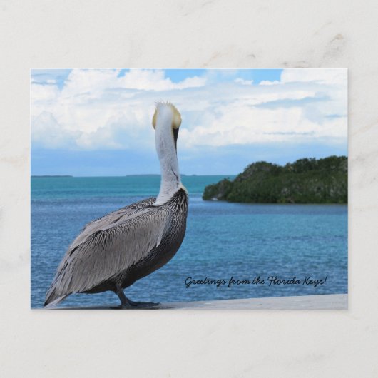 Groeten uit het briefkaart Florida Keys (Voorkant)