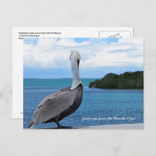 Groeten uit het briefkaart Florida Keys (Voorkant / Achterkant)