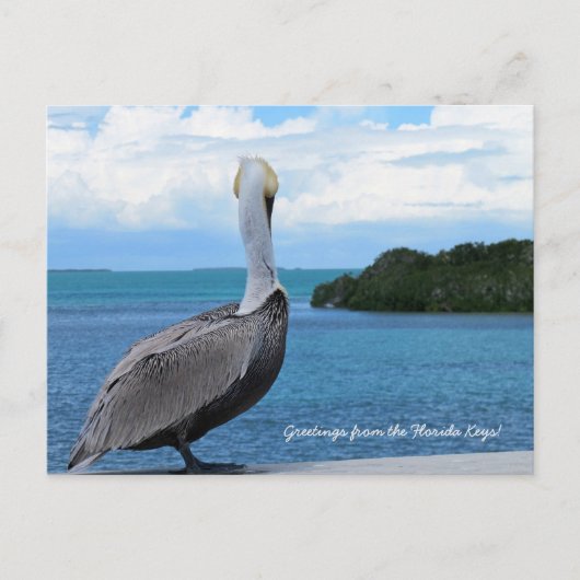 Groeten uit het briefkaart Florida Keys (Voorkant)