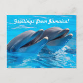 Groeten uit het Briefkaart Jamaica (Voorkant)