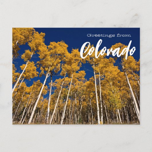 Groeten uit het Briefkaart van Colorado Aspen Tree (Voorkant)