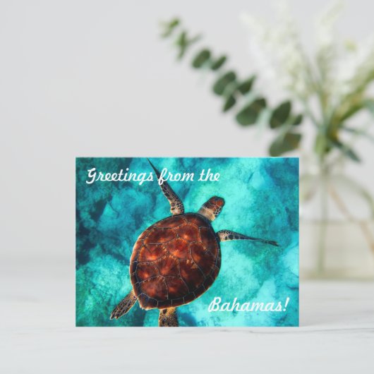 Groeten uit het Briefkaart van de Bahama's (Staand voorkant)