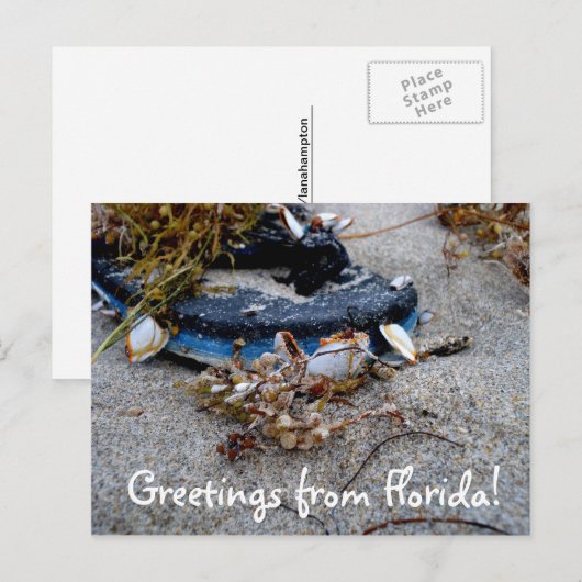 Groeten uit het Briefkaart van Florida (Voorkant / Achterkant)