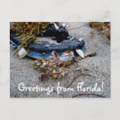 Groeten uit het Briefkaart van Florida (Voorkant)