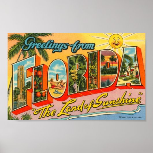 Groeten uit het  Briefkaart van Florida Poster (Voorkant)