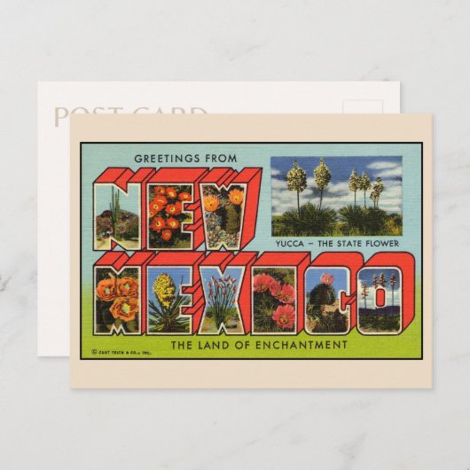 Groeten uit het Briefkaart van New Mexico (Voorkant / Achterkant)