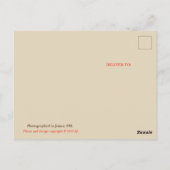 Groeten uit het Briefkaart van New Mexico (Achterkant)